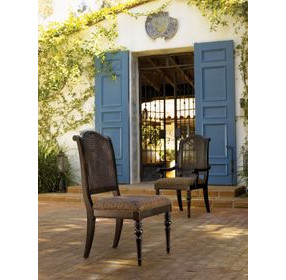 Kingstown Isla Verde Brown Upholstered Side Chair