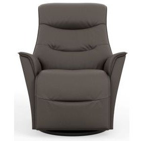 Relax Dallas Stout Leather Small Glider Power Recliner with USB Charging