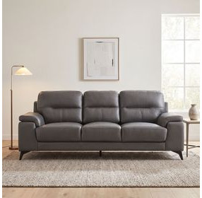 Mischa Dark Gray Sofa