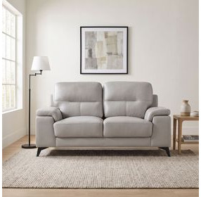Mischa Silver Gray Loveseat