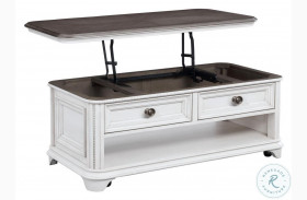 West Chester Light Gray Oak and Distressed White Lift Lid Trunk Cocktail Table