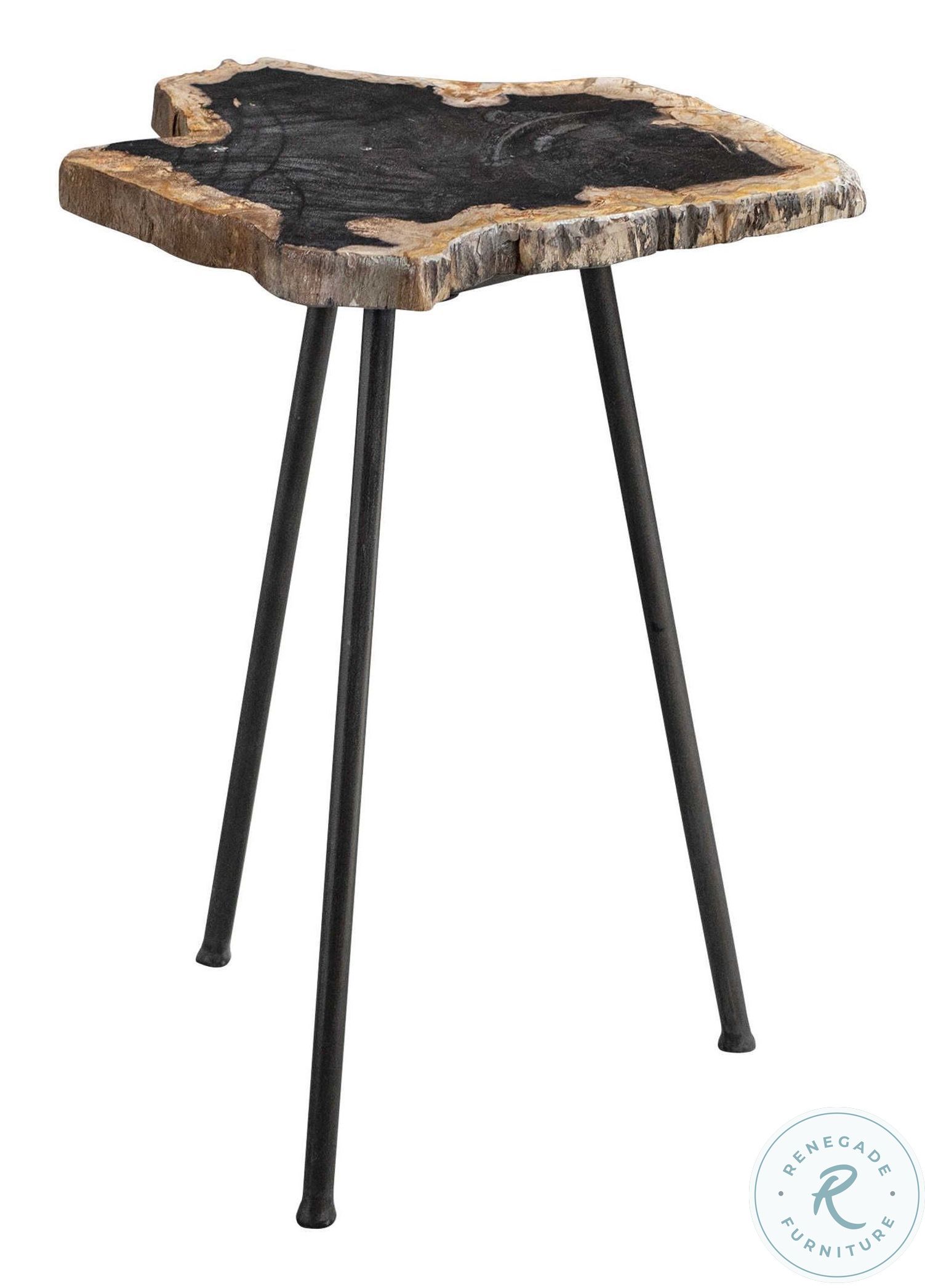 Mircea Natural Petrified Wood Accent Table