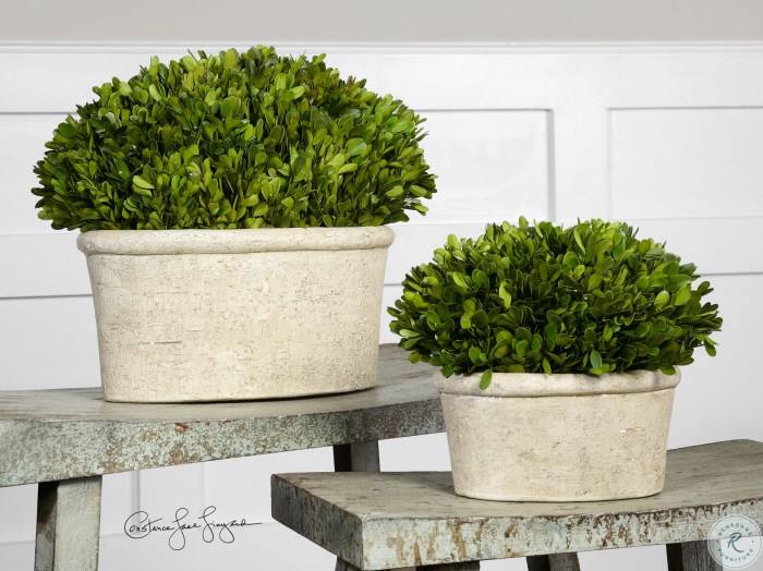 Oval Domes Preserved Boxwood Set of 2