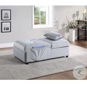 Garrell Gray Lift Top Storage Bench With Pull Out Bed
