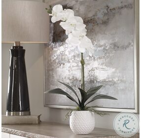 Cami White Orchid Planter