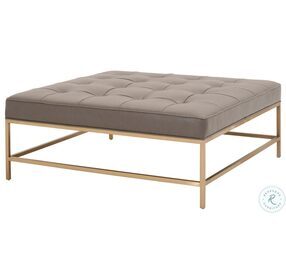 Brule Ore Gray Synthetic Upholstered Cocktail Table