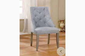 Diocles Silver And Light Gray Side Chair Set Of 2