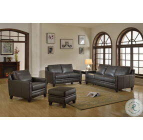 Fletcher Charcoal Leather Living Room Set
