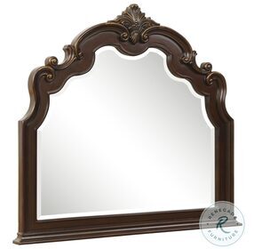 Antoinetta Brown Mirror