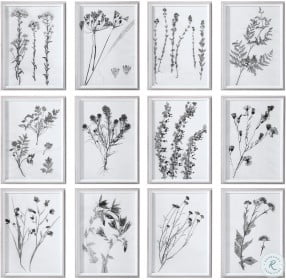 Contemporary Botanicals White Inner Botanical Wall Art Set Of 12