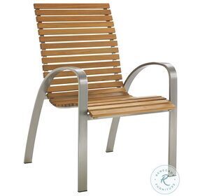 Tres Chic Brown And Silver Outdoor Dining Chair