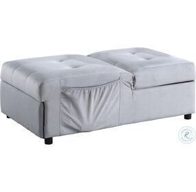 Garrell Gray Lift Top Storage Bench With Pull Out Bed
