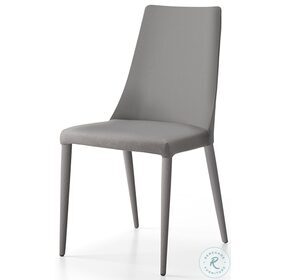 Aloe Gray Leather Dining Chair Set of 2