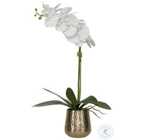 Cami Orchid Contemporary Hammered Brass Orchid Pot