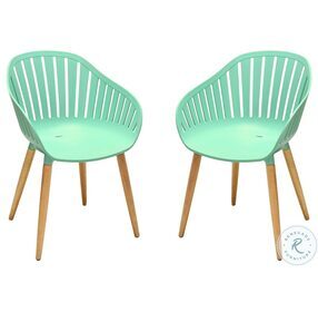 Nassau Mint Green And Eucalyptus Outdoor Dining Chair Set of 2