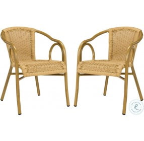 Dagny Natural And Light Brown Outdoor Arm Chair Set Of 2