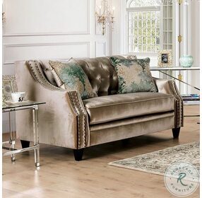 Elicia Transitional Champagne Loveseat