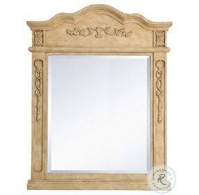 Lenora Antique Beige Wood Frame 28" Large Mirror