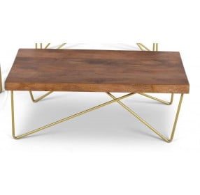 Walter Warm Pine And Brass Cocktail Table
